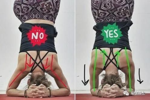 瑜伽「头倒立」到底有多少重量在头上？（经典）(图2)