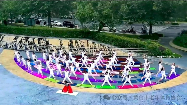 开云体育2024年黄山市中老年瑜伽健身展示活动暨第十届国际瑜伽日全民健身公益活动举办(图4)