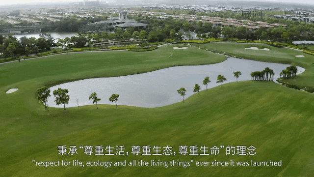 东滩海上明月（东滩海上明月售楼处）202424小时热线电话(图8)