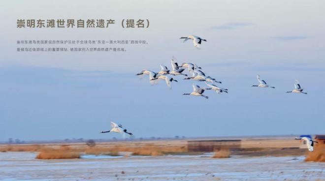 东滩海上明月（东滩海上明月售楼处）202424小时热线电话(图22)