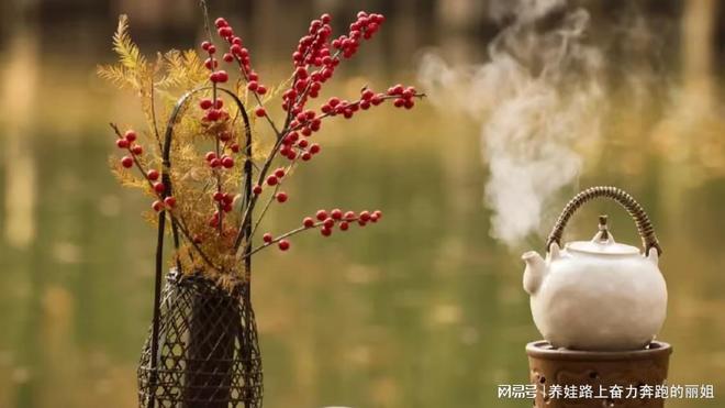 女王智慧月嫂洞察与成长(图1)