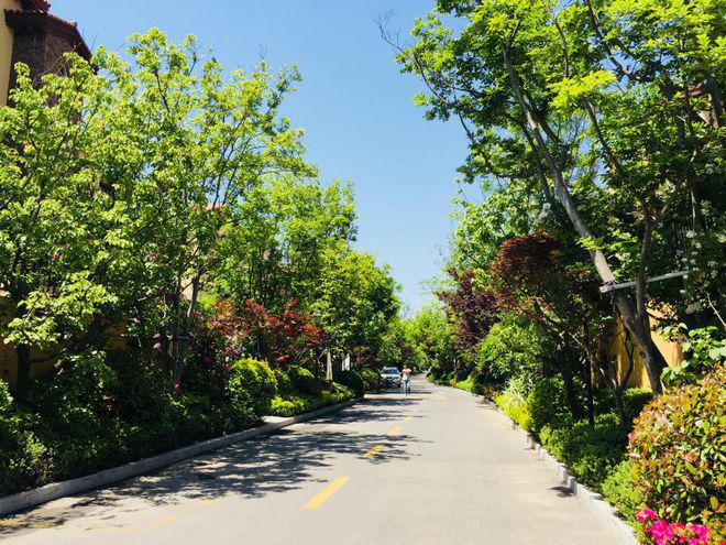 青岛建邦垅锦墅售楼处-建邦垅锦墅网站欢迎您丨2024最新详情(图1)