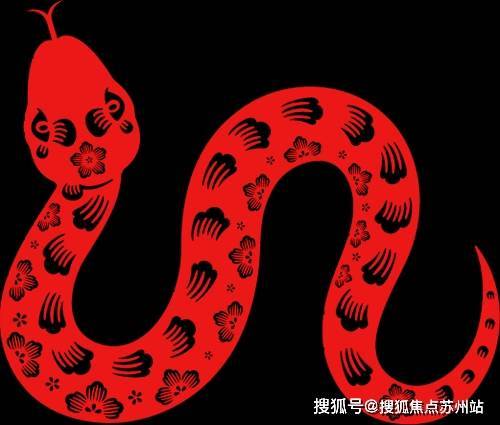 狮山金茂府实力与品质的演绎2024苏州现象级红盘(图12)
